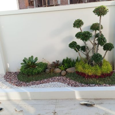 Pembuatan Taman Minimalis